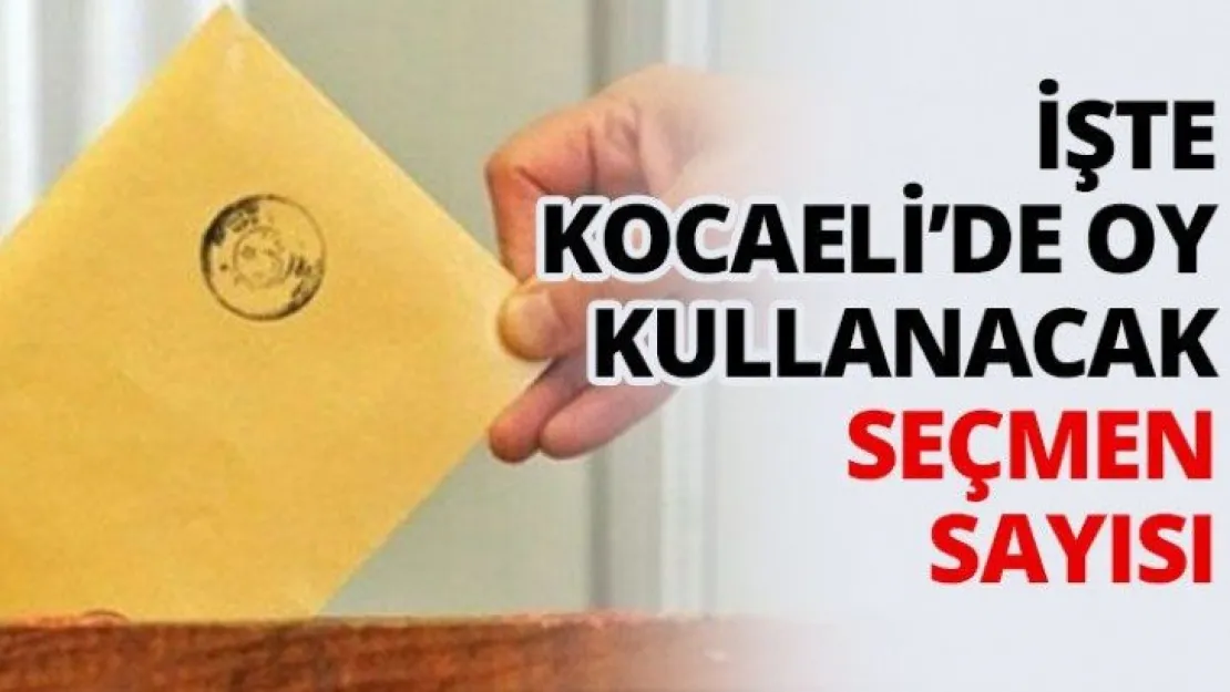 İşte Kocaeli'de oy kullanacak seçmen sayısı