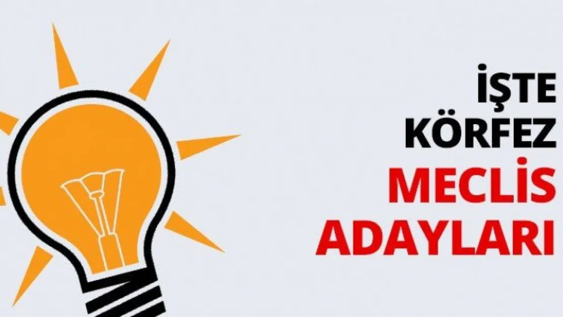 İşte Körfez Meclis üyesi adayları