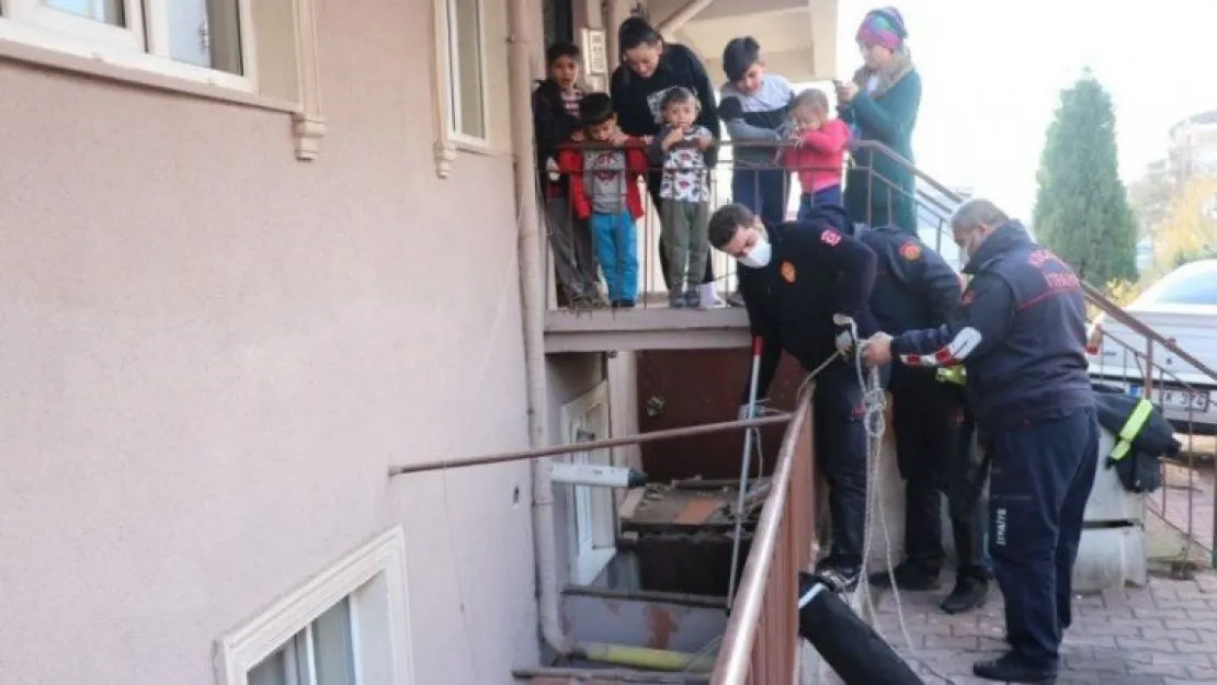 İtfaiyeden 'Horoz' kurtarma seferberliği 