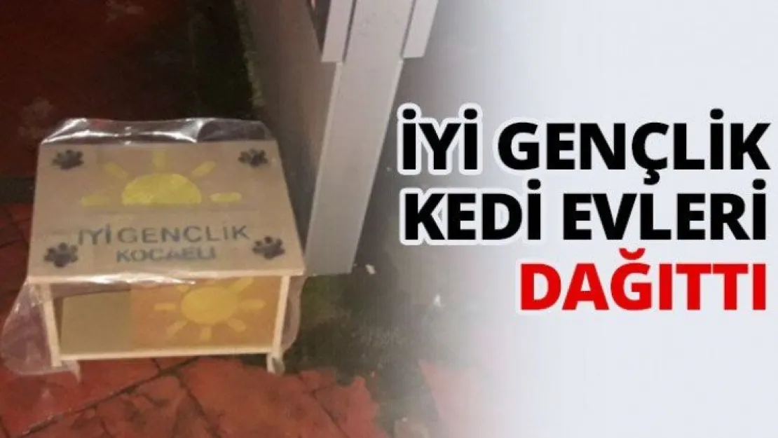İYİ Gençlik kedi evleri dağıttı