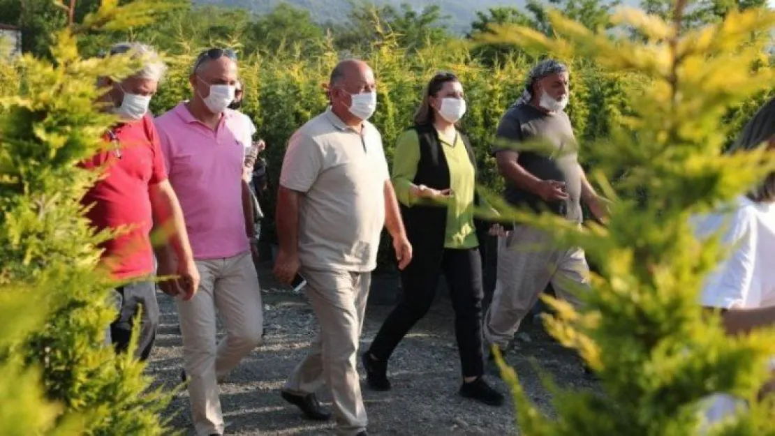 İzmit'i yerli kooperatif yeşillendirecek