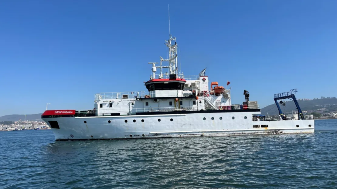 İzmit Körfezi'nde deniz ekosistemi hayat buluyor