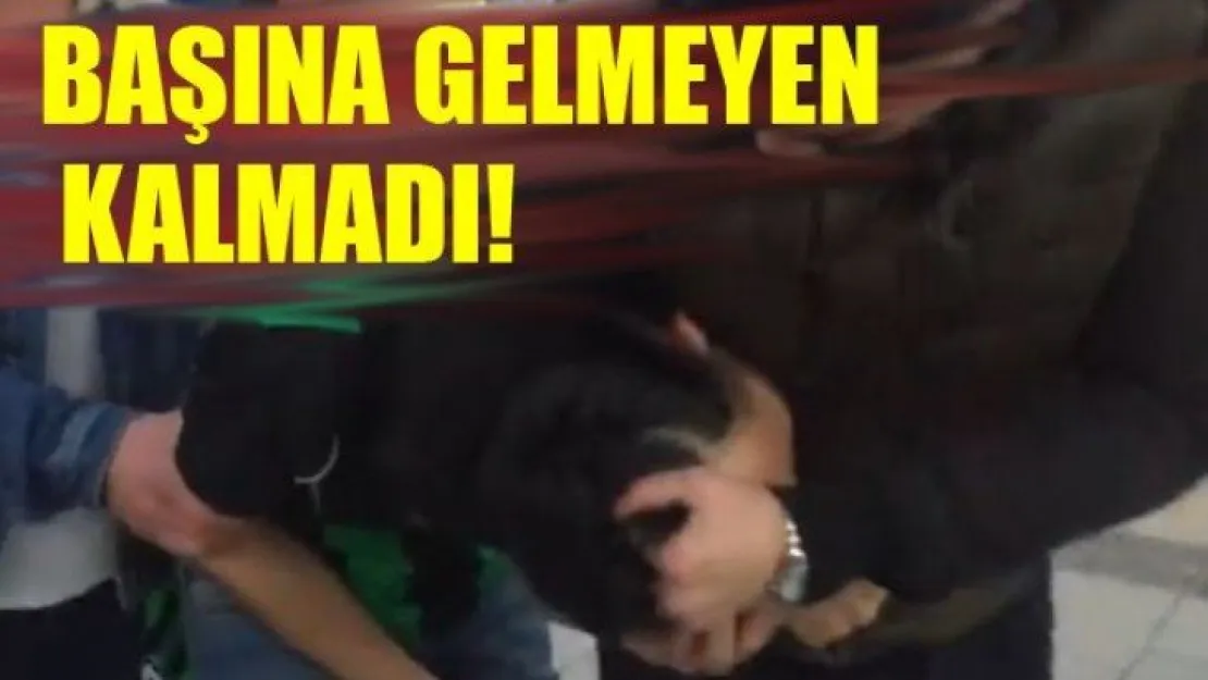 İzmit sokaklarında Sakaryaspor formasıyla gezdi...