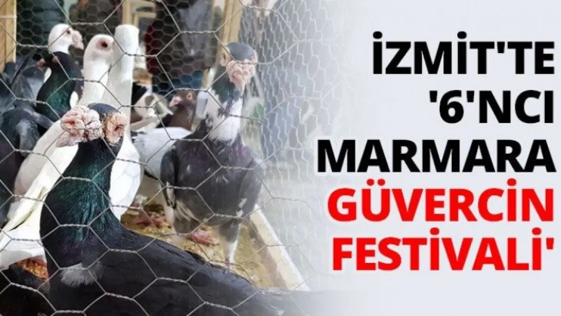 İzmit'te '6'ncı Marmara Güvercin Festivali'