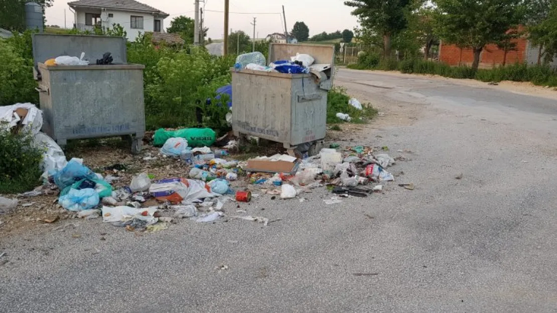 İzmit'te gelişigüzel çöp atanlara ceza kesilecek