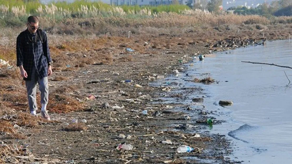 İzmit'te su kuşlarının göç yolu kirlendi