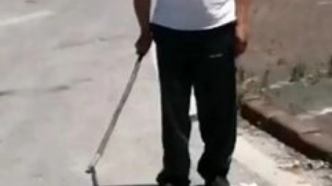 İzmit'te yılan paniği!