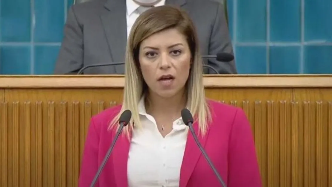 İzmitli avukattan mecliste çarpıcı açıklamalar!