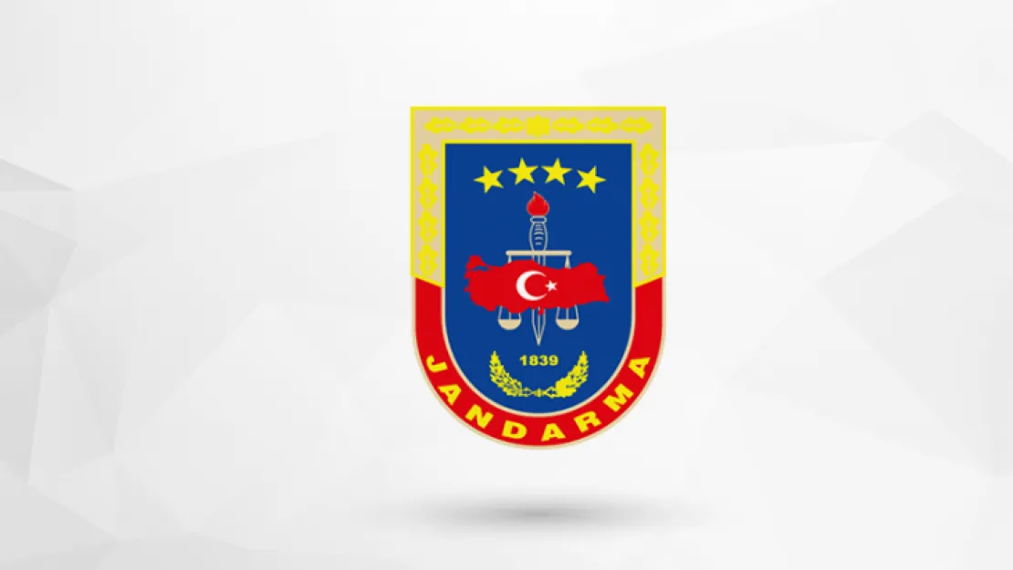 Jandarmadan aile içi şiddete karşı kadınlara online destek 