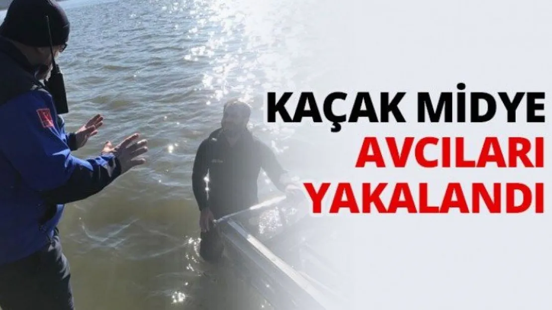 Kaçak midye avcıları yakalandı