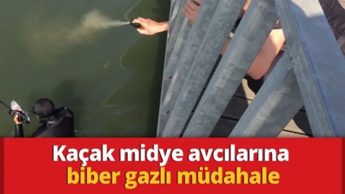 Kaçak midye avcılarına biber gazlı müdahale