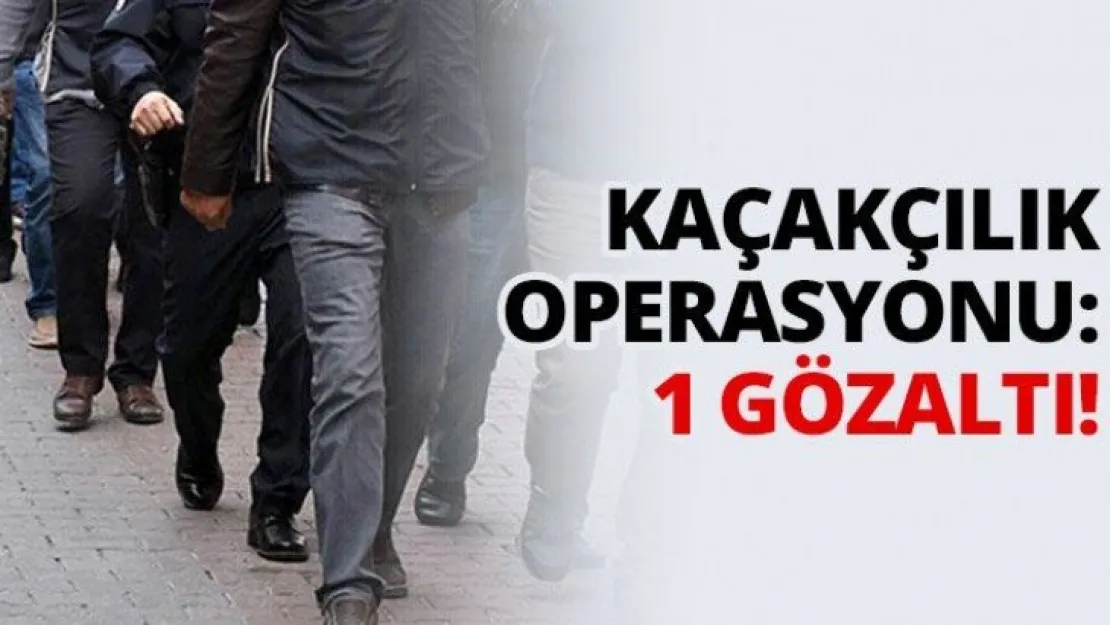Kaçakçılık operasyonu: 1 gözaltı!