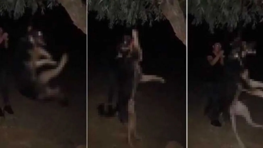 Kan donduran görüntüler!