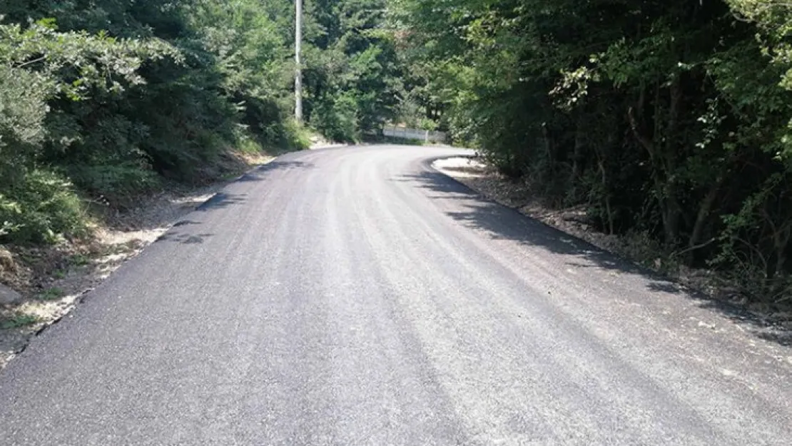 Kandıra'da orman yolu ihalesi açıldı 