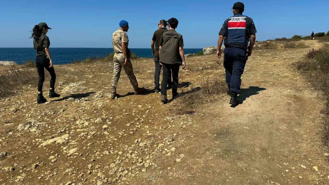 Kandıra'da sahillerde ve ormanlık alanlarda izinsiz çadır kuranlara ceza