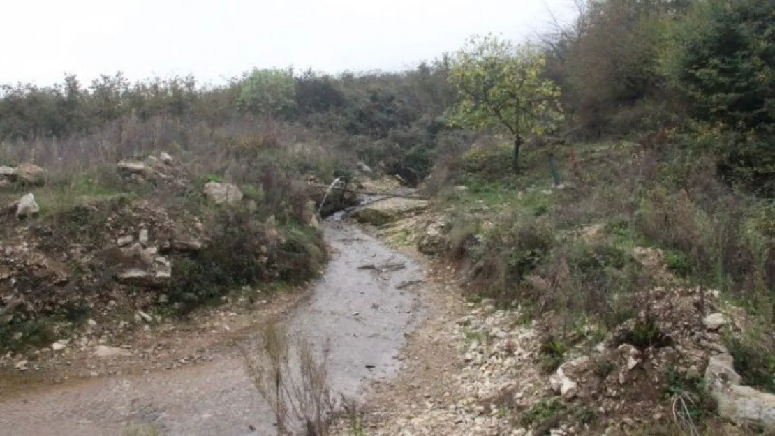 Kandıra'da tarihi büyük keşif!