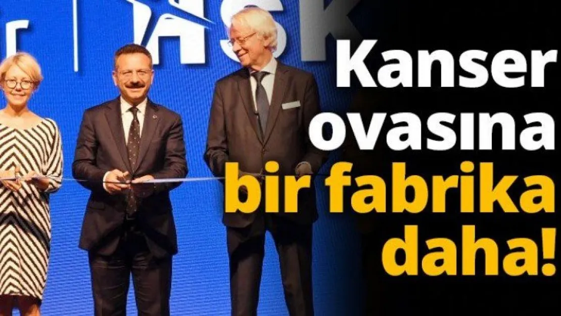 Kanser ovasına bir fabrika daha!