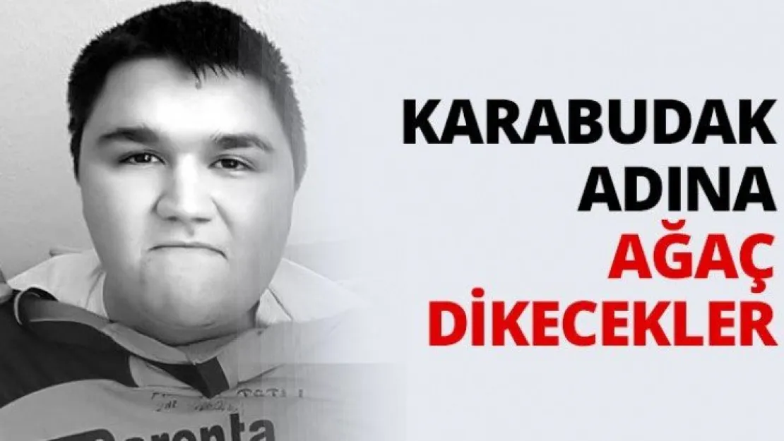 Karabudak adına ağaç dikecekler