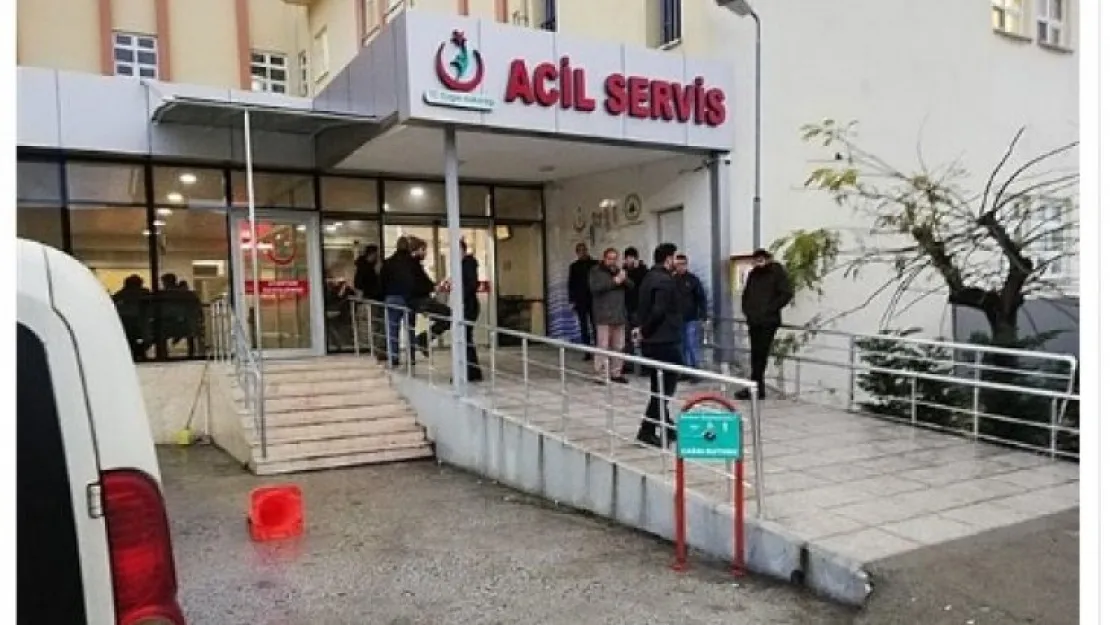 Karamürsel'de ishal salgını 
