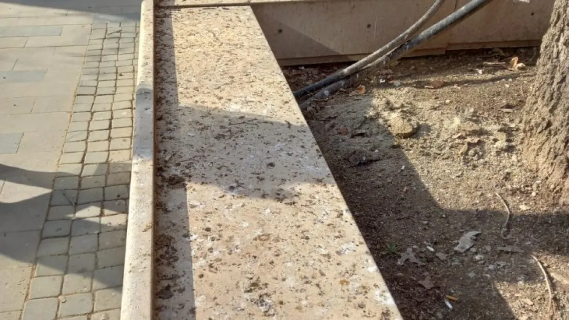 Karga pisliğine bir çare lazım