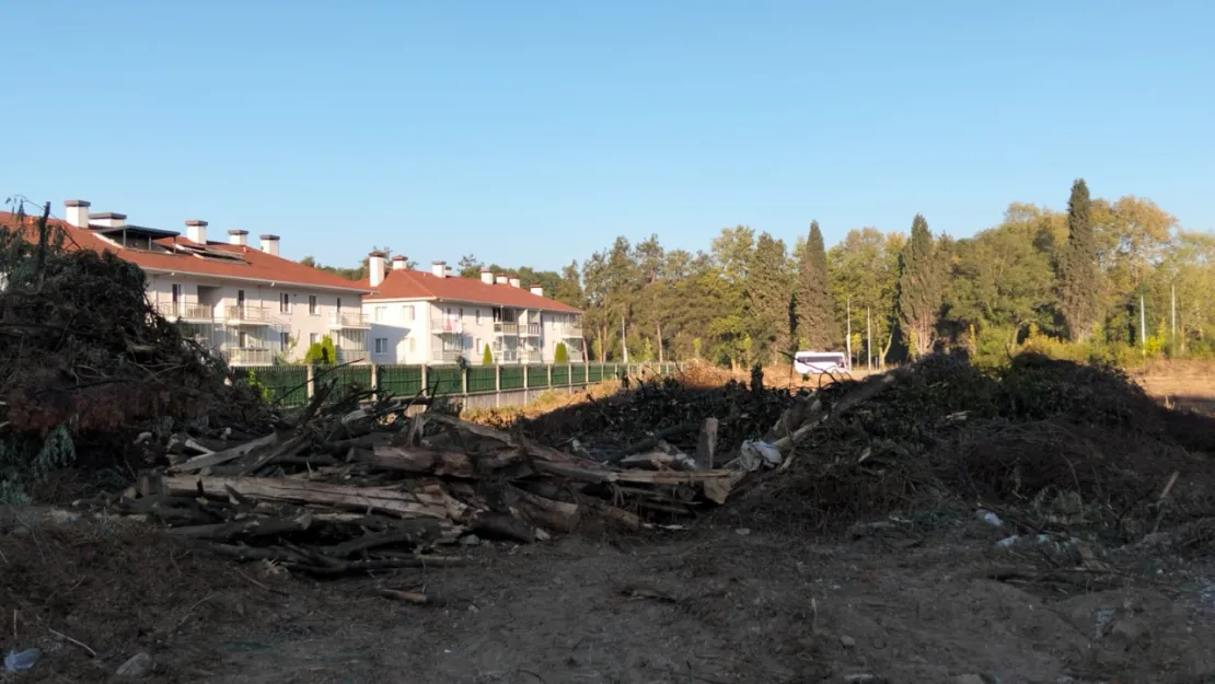 Kartepe'de ağaçlar kesildi