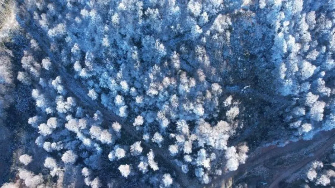 Kartepe'ye sezonun ilk karı yağdı