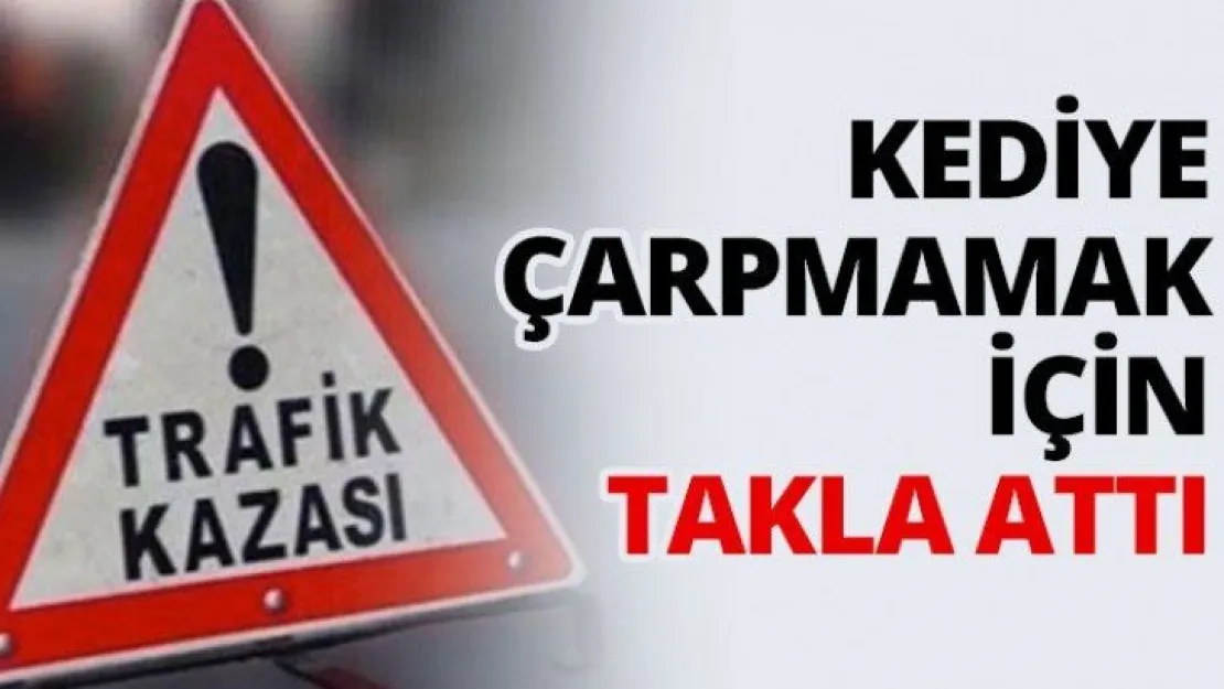 Kediye çarpmamak için takla attı