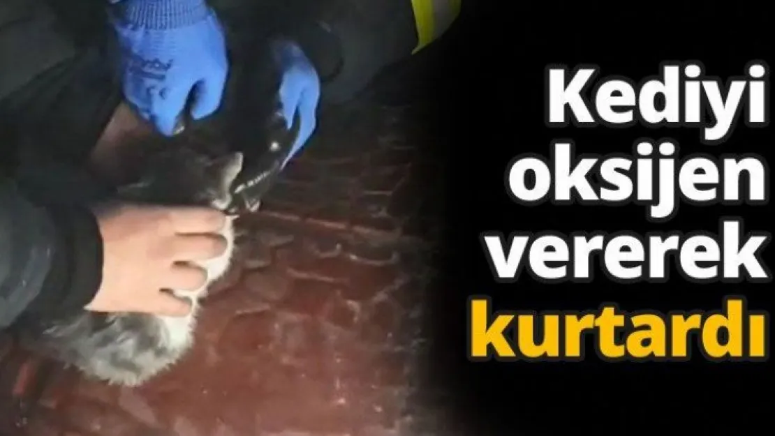 Kediyi oksijen vererek kurtardı
