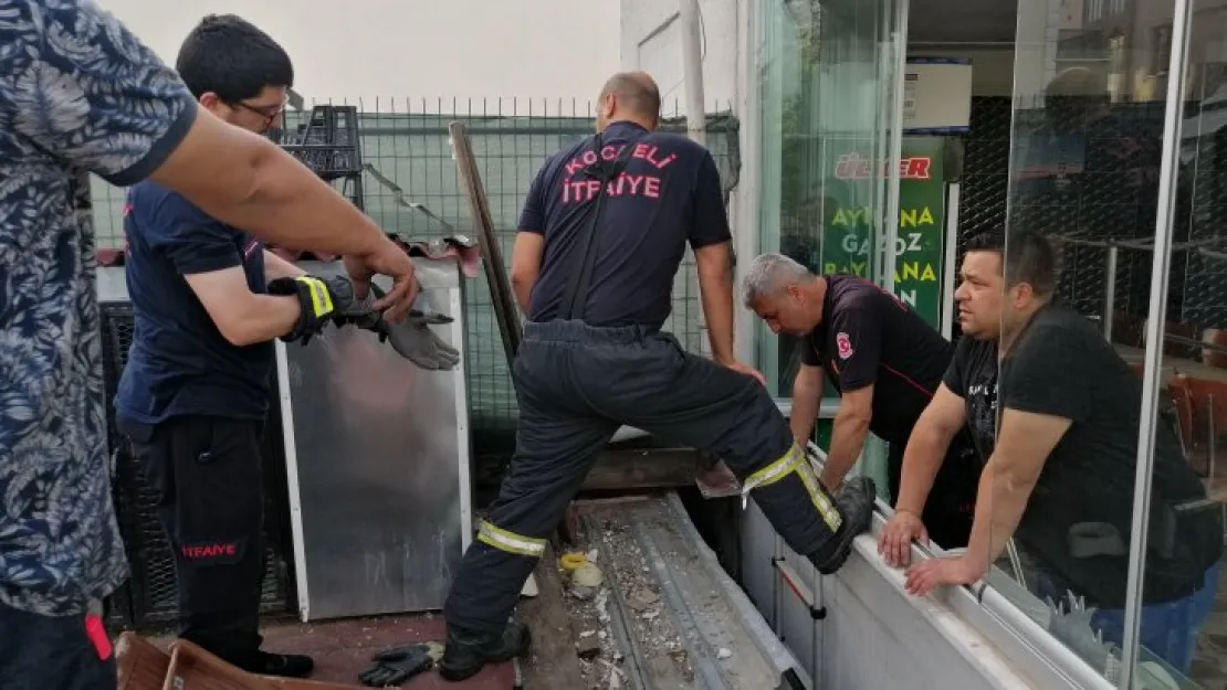 Kediyi operasyonla kurtardılar!