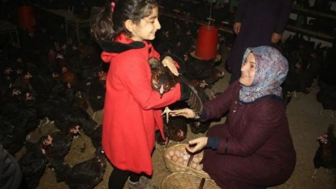 Kızı için 8 yılda koca bir tavuk çiftliği kurdu