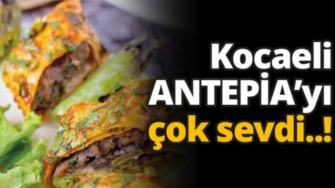 Kocaeli ANTEPİA'yı çok sevdi..!