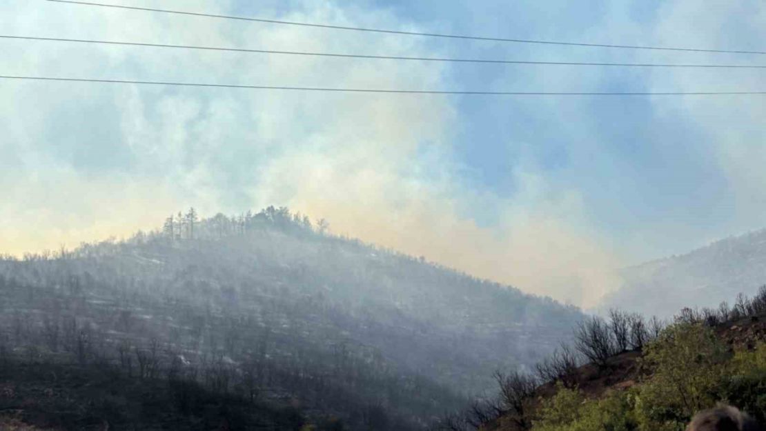 Büyükakın, orman yangınındaki son durumu açıkladı