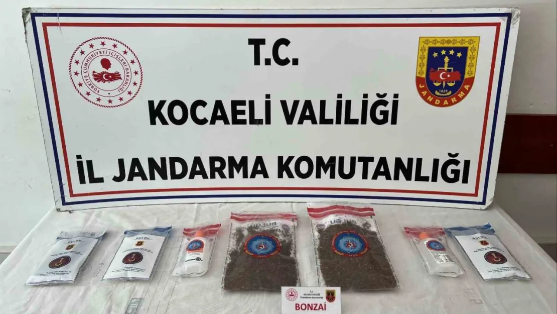Kocaeli'de 114 adet sentetik ecza ele geçirildi: 2 tutuklama