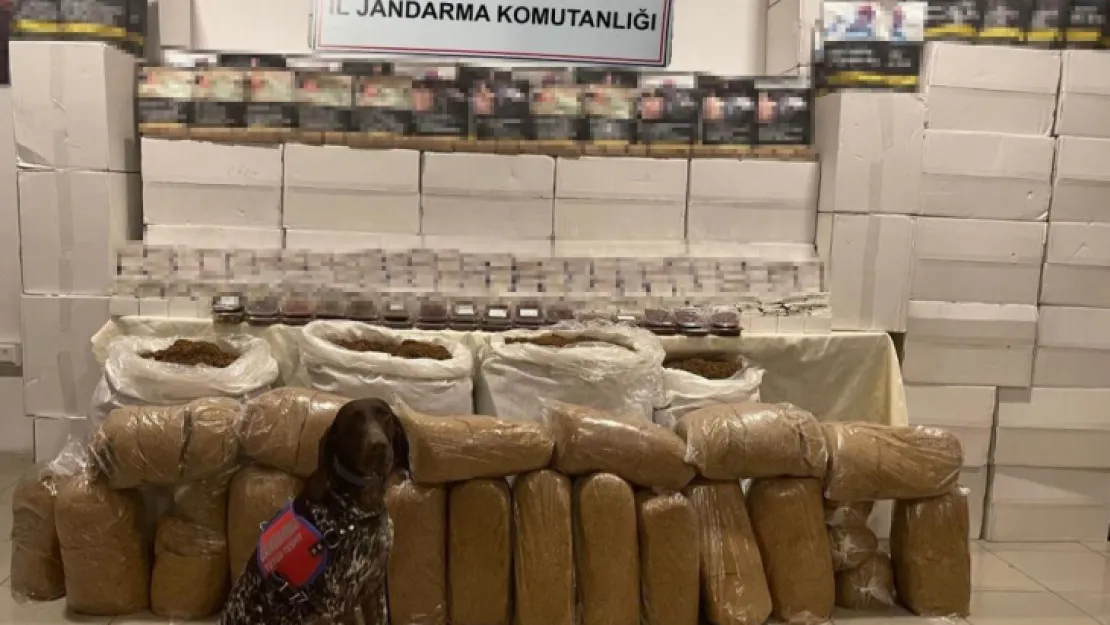 2 milyon 30 bin makaron daha yakalandı!