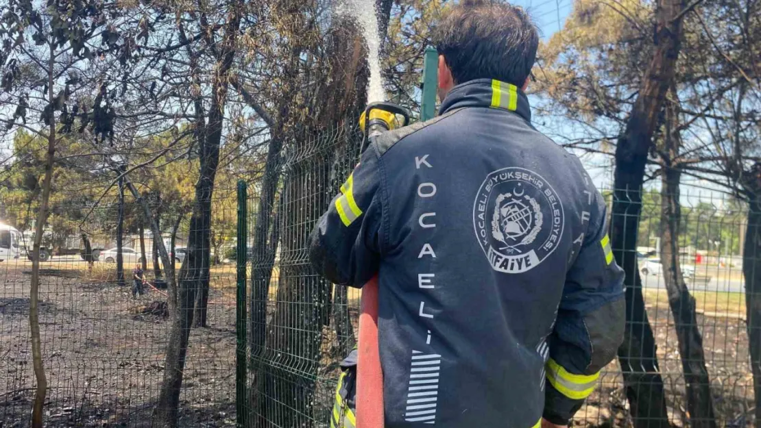 Kocaeli'de ağaçlık alanda korkutan yangın