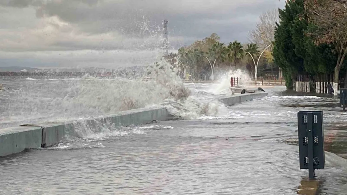 Kocaeli'de deniz taştı, 2 tekne battı, ağaçlar söküldü