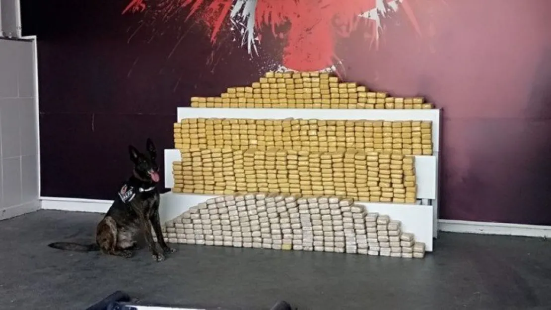 Kocaeli'de dev uyuşturucu operasyonu: 375 kilogram eroin!