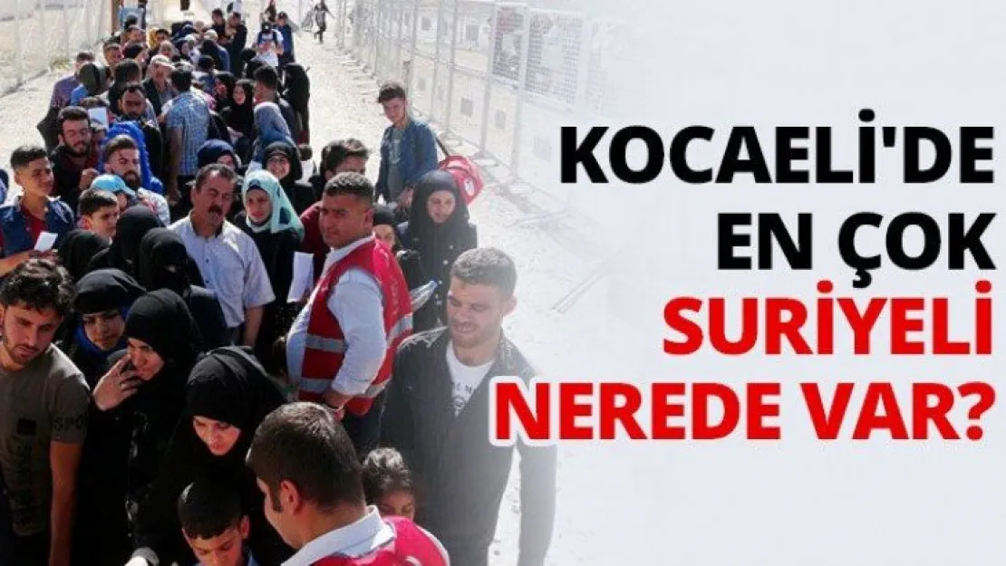 Kocaeli'de en çok Suriyeli nerede var?