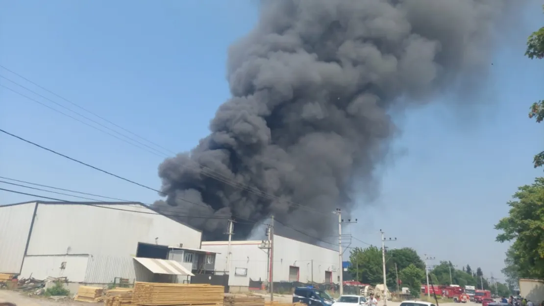 Kocaeli'de fabrika yangını