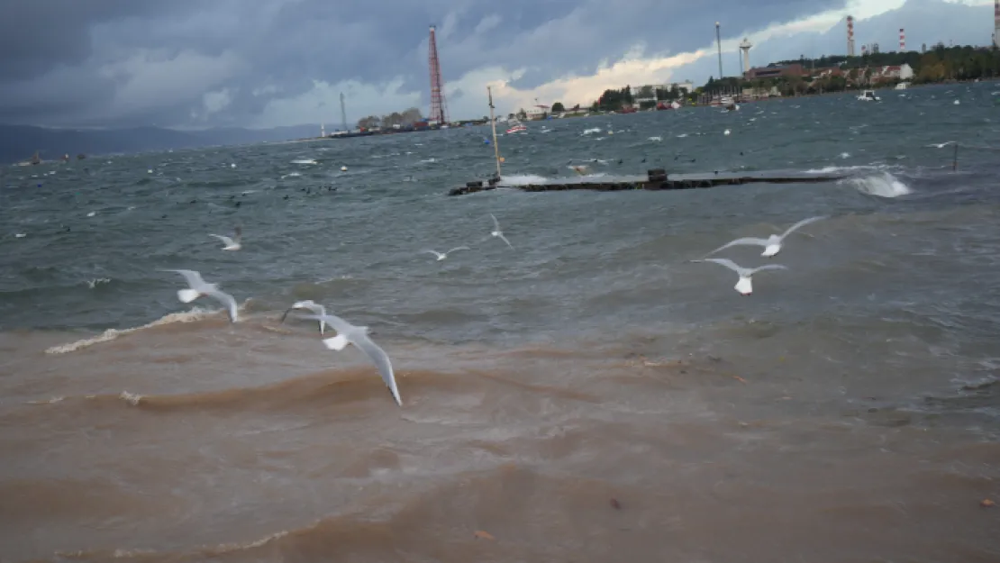 Kocaeli'de fırtınanın bilançosu ağır oldu