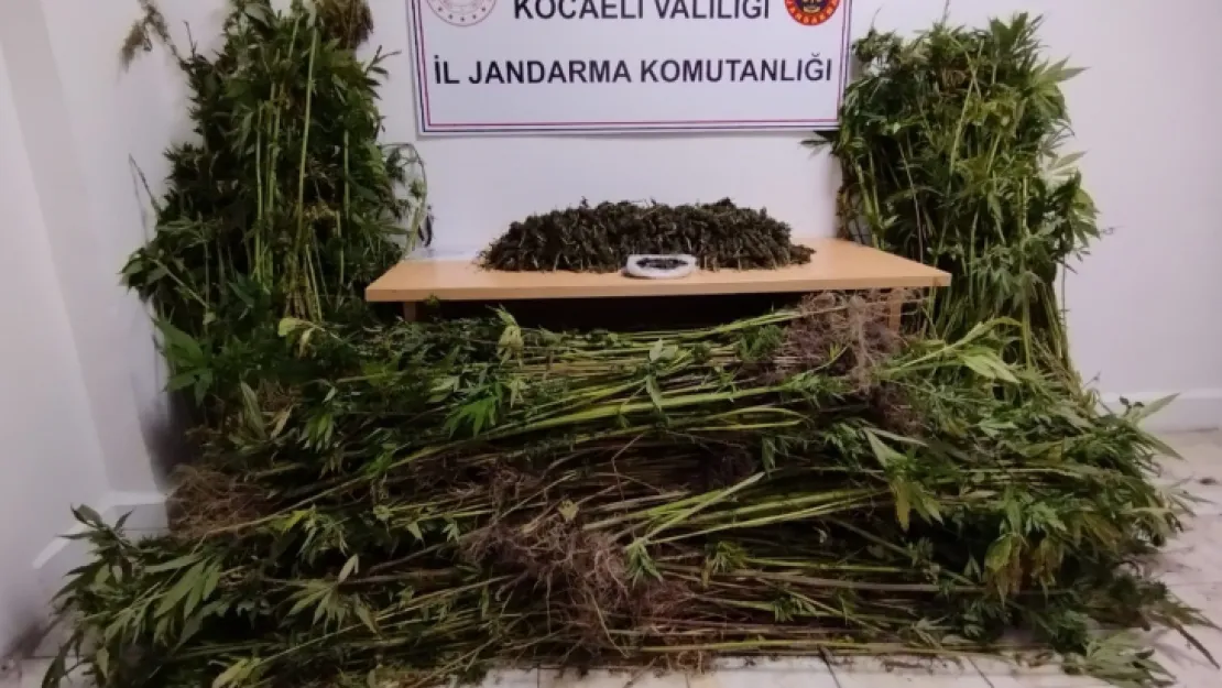 Kocaeli'de 11 kilo uyuşturucu ele geçirdi