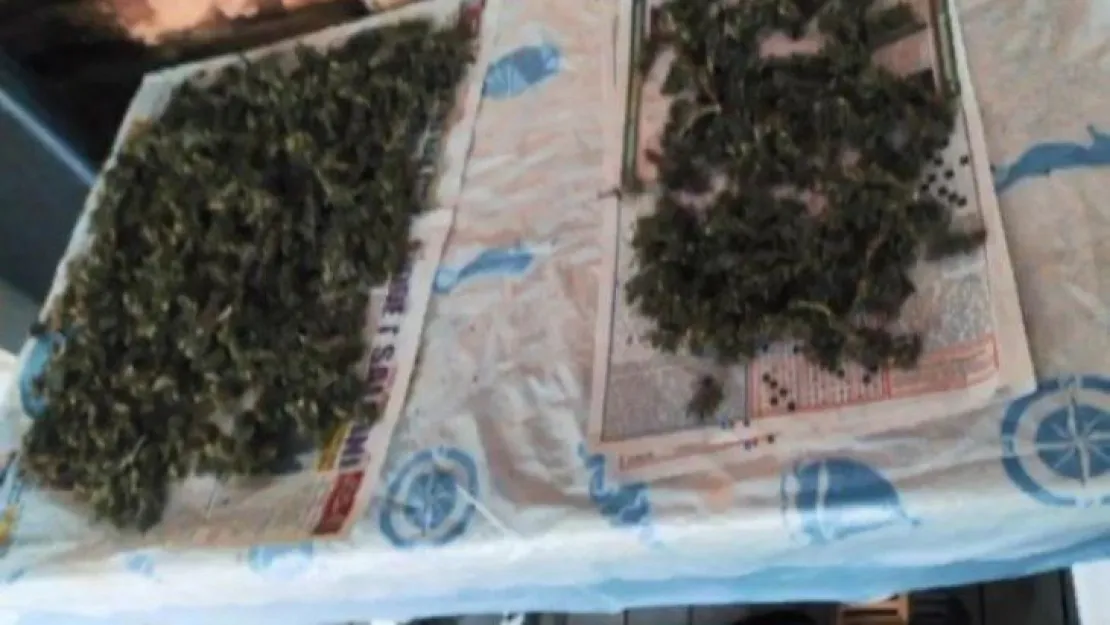 Kocaeli'de kenevir imalathanesine operasyon!