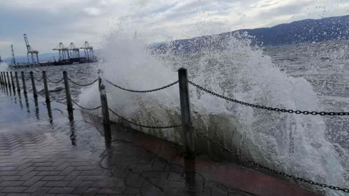 Kocaeli'de lodos etkili oluyor!