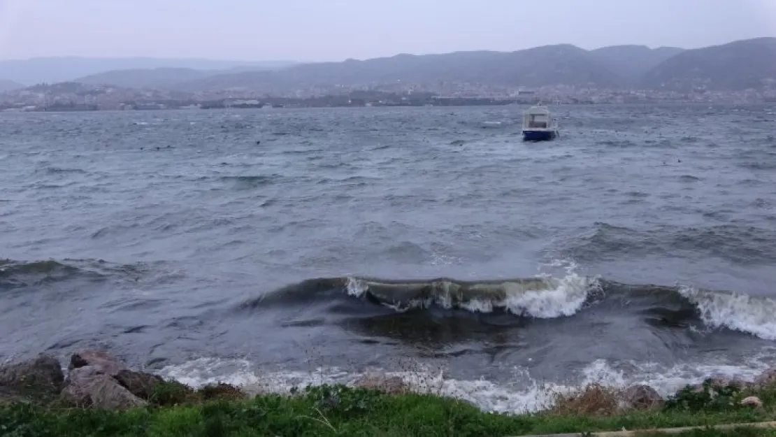 Kocaeli'de lodos etkisini göstermeye devam ediyor