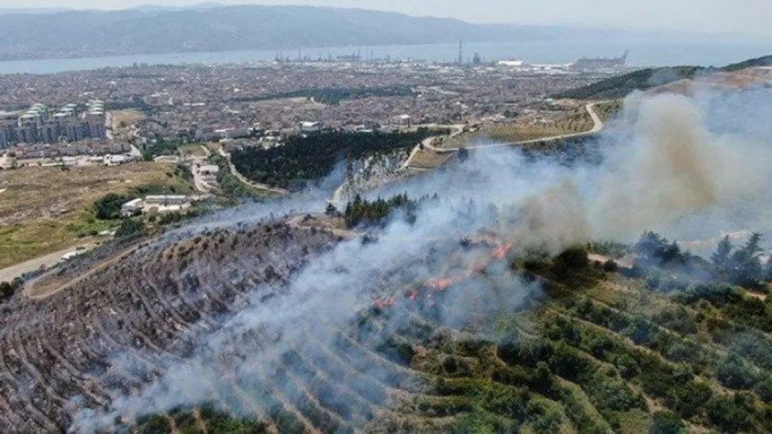 Kocaeli'de orman yangınlarıyla mücadelede yapılacak çalışmalar değerlendirildi!