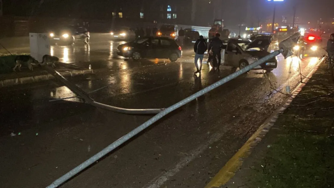 Kocaeli'de otomobil elektrik direği ve ağaçları devirdi