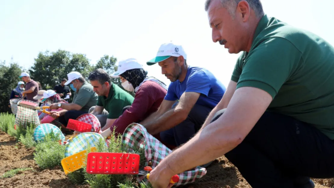 Kocaeli'de tarıma 236 milyon 210 bin TL destek