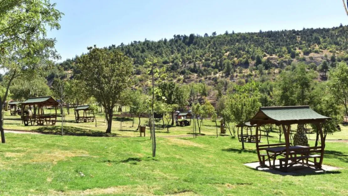 Kocaeli'de üç mesire alanı kiralanacak!