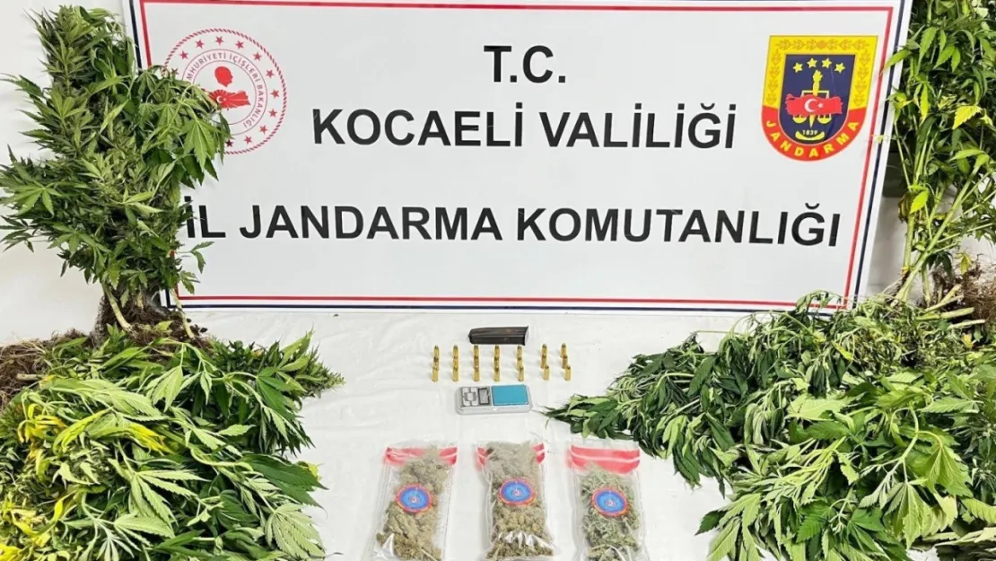 Kocaeli'de uyuşturucu operasyonu