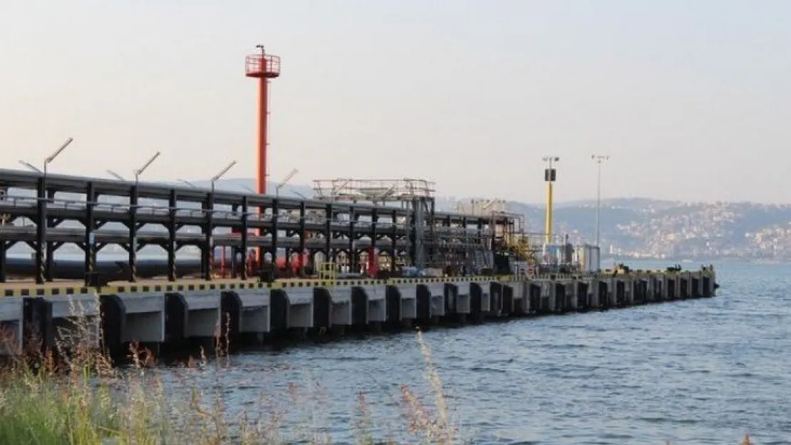 Kocaeli'deki limanlarda koronavirüs tedbirlerine uyunca sorun kalmadı